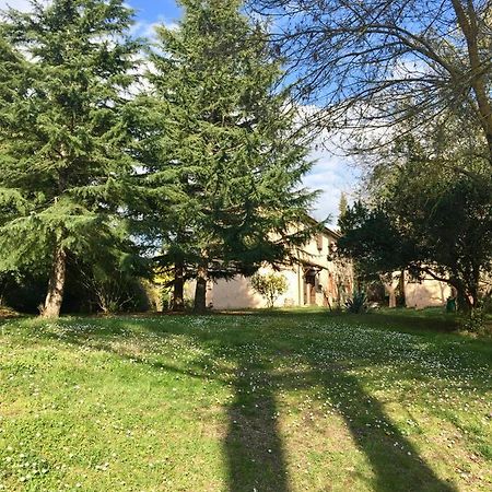 Agriturismo Bethsaid Fauglia エクステリア 写真
