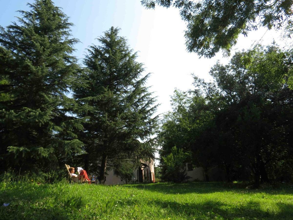 Agriturismo Bethsaid Fauglia エクステリア 写真
