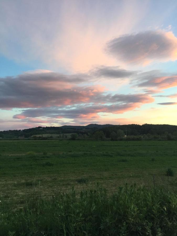 Agriturismo Bethsaid Fauglia エクステリア 写真